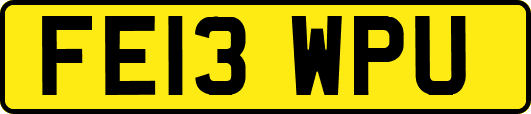 FE13WPU
