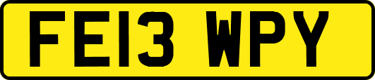 FE13WPY