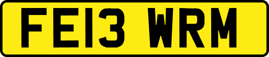FE13WRM