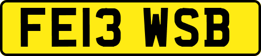 FE13WSB