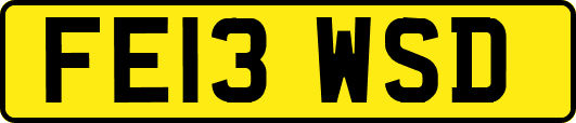 FE13WSD