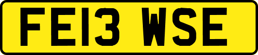 FE13WSE