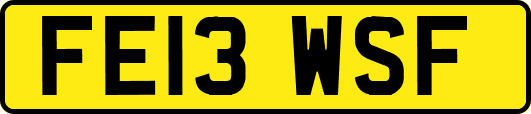 FE13WSF