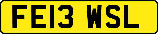 FE13WSL