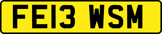 FE13WSM