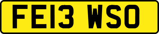 FE13WSO