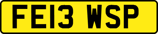 FE13WSP