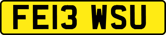 FE13WSU