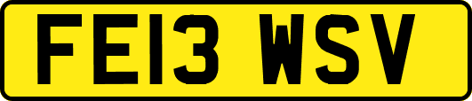 FE13WSV