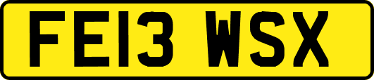 FE13WSX