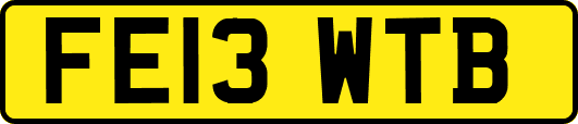 FE13WTB