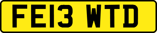 FE13WTD