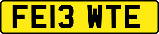 FE13WTE