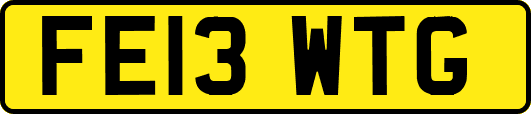FE13WTG