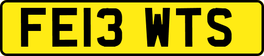 FE13WTS