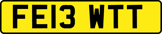 FE13WTT