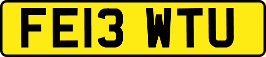 FE13WTU