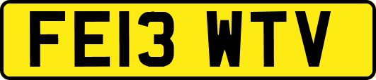 FE13WTV