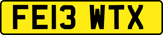 FE13WTX