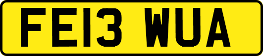 FE13WUA