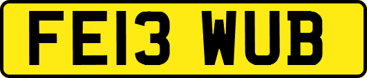 FE13WUB
