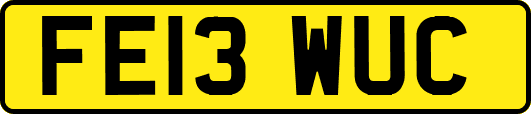 FE13WUC
