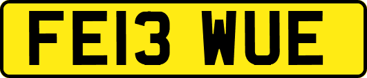 FE13WUE