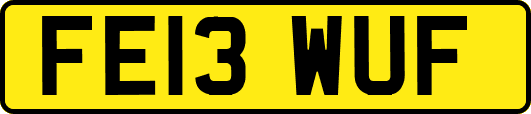 FE13WUF