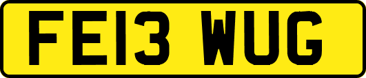 FE13WUG