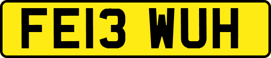 FE13WUH
