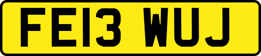 FE13WUJ