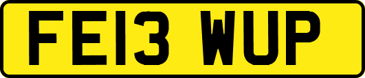 FE13WUP
