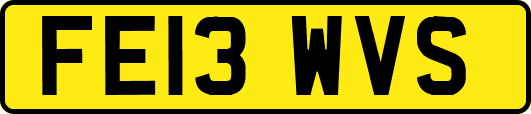 FE13WVS