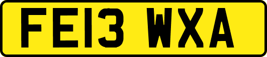 FE13WXA