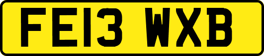 FE13WXB
