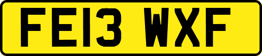 FE13WXF