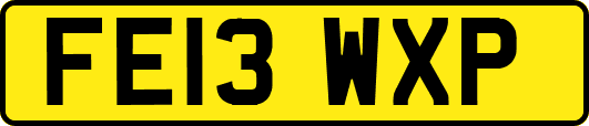 FE13WXP