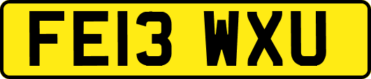 FE13WXU
