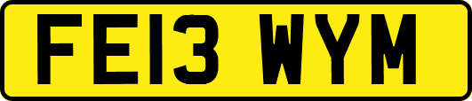 FE13WYM