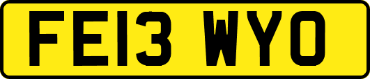 FE13WYO