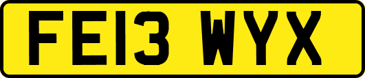 FE13WYX