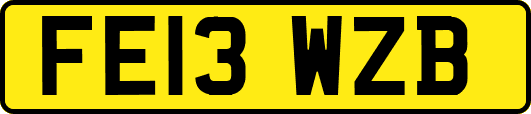 FE13WZB