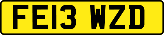 FE13WZD