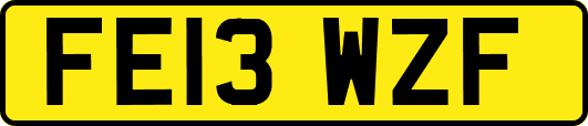 FE13WZF