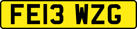 FE13WZG
