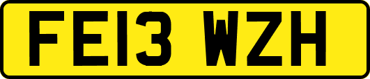 FE13WZH