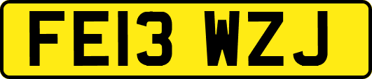 FE13WZJ