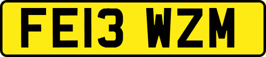 FE13WZM
