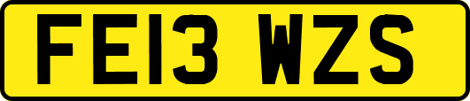 FE13WZS