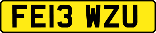 FE13WZU